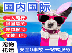 成都双流机场快运国际宠物托运 【国